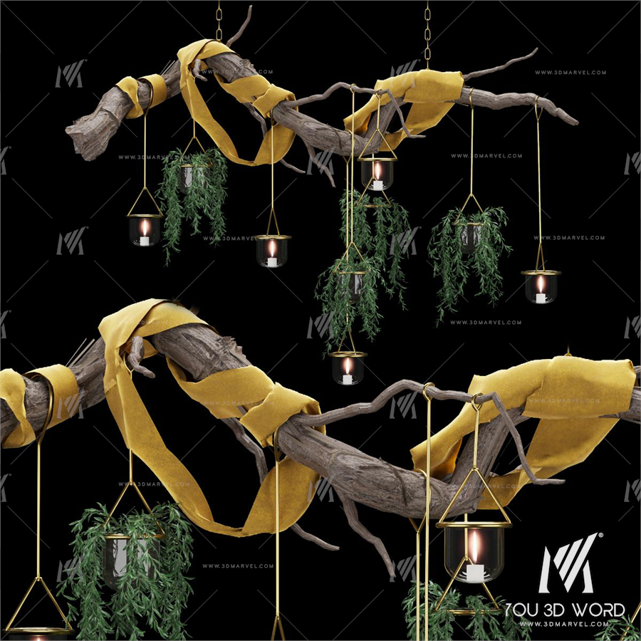 Collection plant vol 79